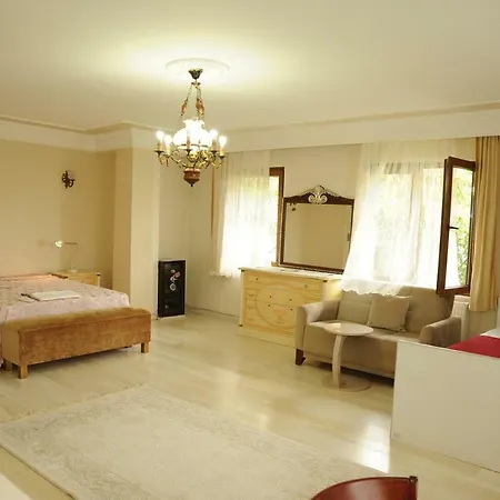 Exluce At Bosphorus View , *