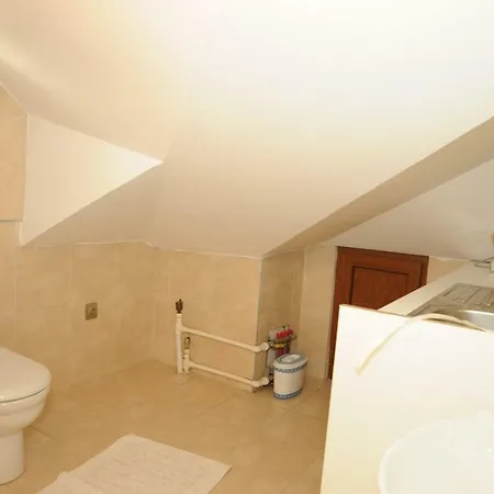 Villa Exluce At Bosphorus View ,