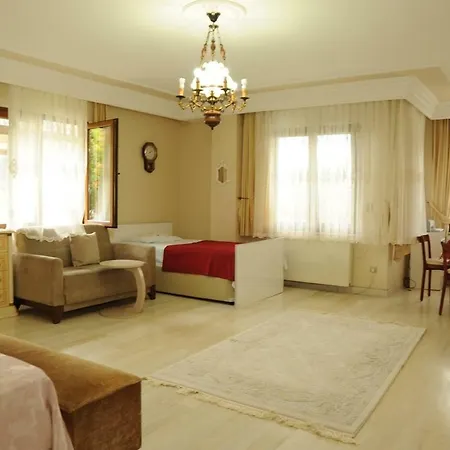 Exluce At Bosphorus View ,